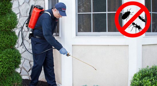 Derinkuyu Hamam Böceği İlaçlama böcek ilaçlama ve haşere kontrolü — ilaclama-tr.com